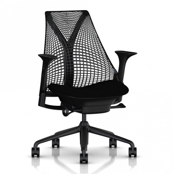 Herman Miller say Ergonomic Chair